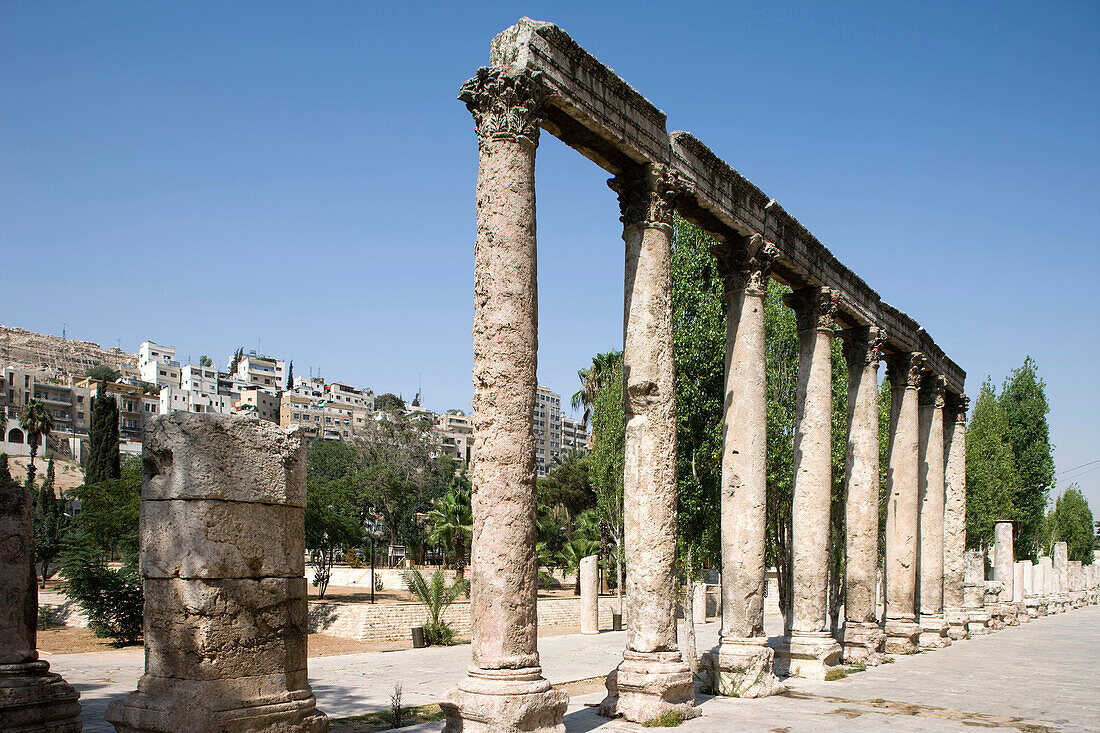 Colonnade roman forum ruins downtown. … – License image – 70253712 ...