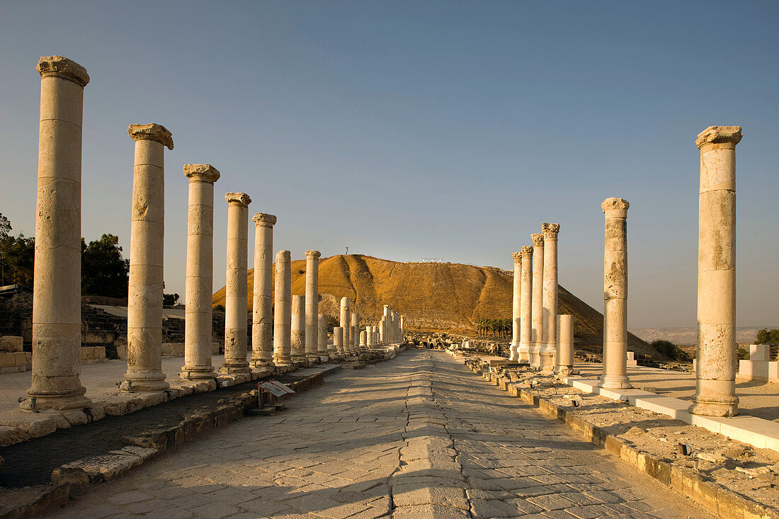 Palladius street byzantine colonnade ruins tel beit shean national park. Israel.