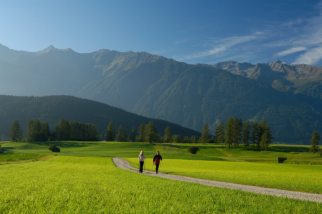 A couple nordic walking in an idyllic scenery, Tyrol, Austria, Europe