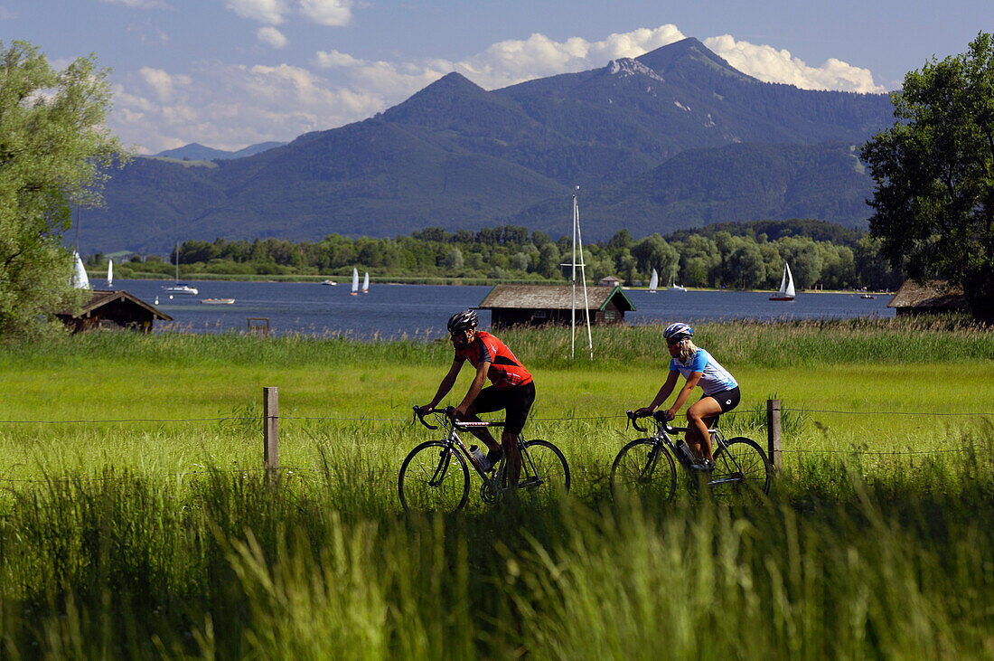 Two cyclists at lake Chiemsee, Upper Bavaria, Bavaria, Germany, Europe