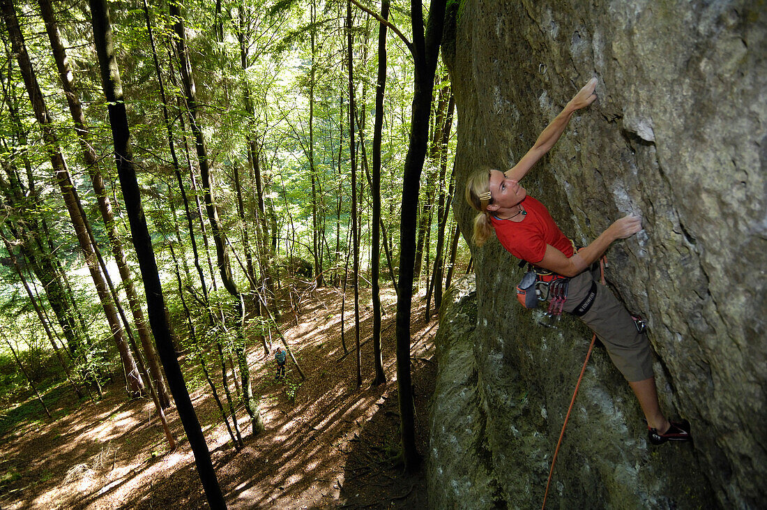 Woman climbing up a rock face in the forest, Franconian Switzerland, Bavaria, Germany, Europe