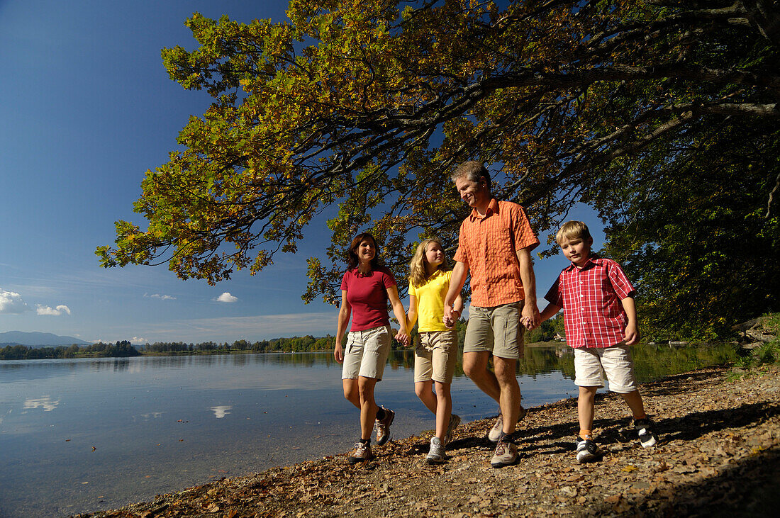 Family walking along the lake shore of Lake Saffelsee, Upper Bavaria, Bavaria, Germany