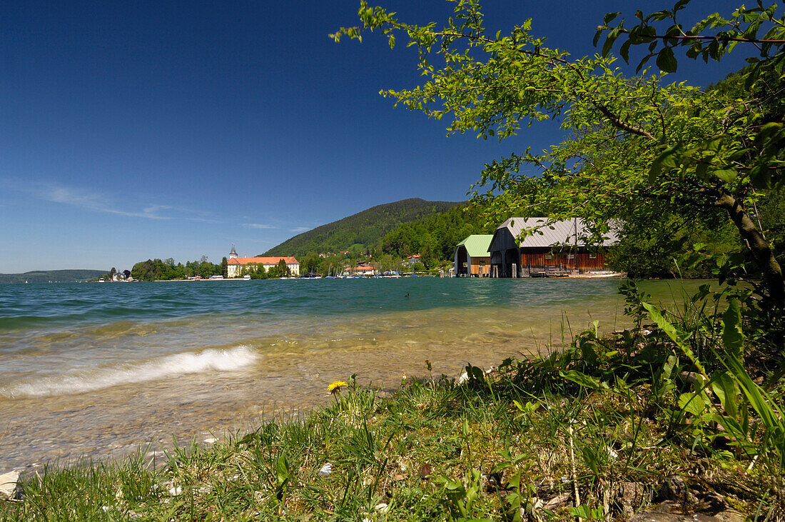 Lakeshore at Lake Tegernsee, Upper Bavaria, Bavaria, Germany