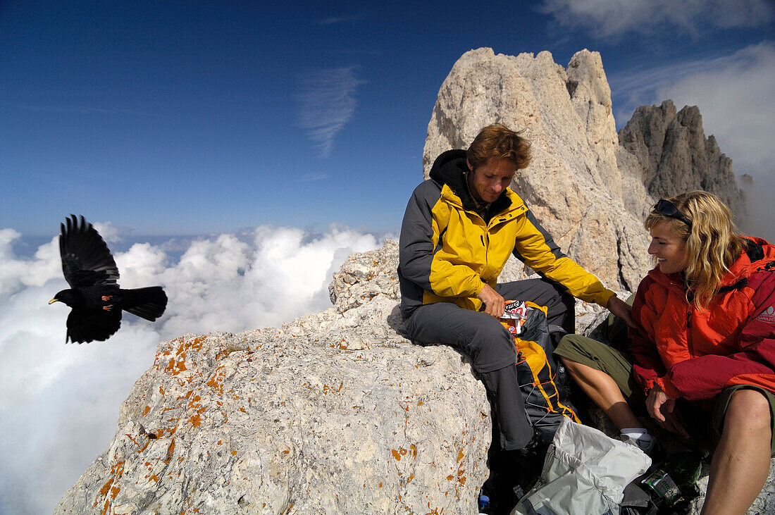 Couple having a rest at the mountain summit, Hiking tour in teh Rosengarten Mountain Range, Santnerpass, near Pozza di Fassa, Dolomites, South Tyrol, I5taly