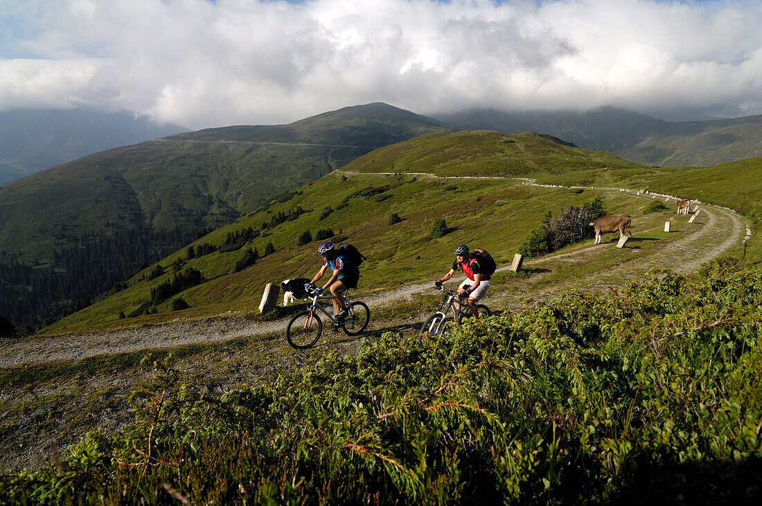 Zwei Mountainbiker am Grenzkamm, Mountainbike Tour, Wipptal, Brenner, Tirol, Österreich