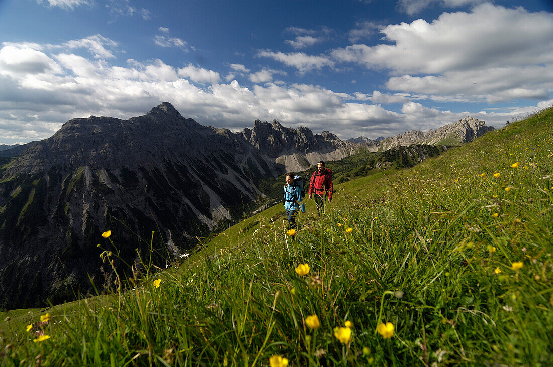 Familie beim Wandern, Bergwanderung, Tannheimer Bergen, Allgäuer Alpen, Tirol, Österreich, Europa