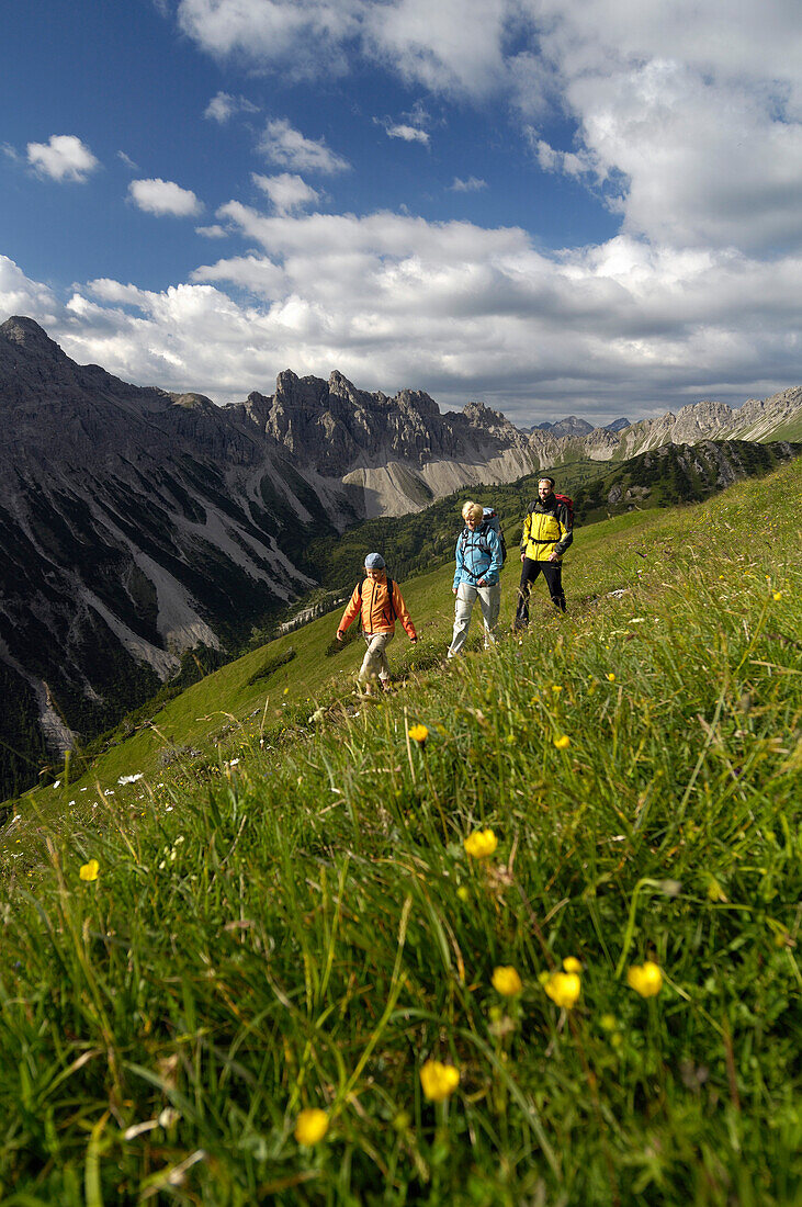 Familie beim Wandern, Bergwanderung, Tannheimer Bergen, Allgäuer Alpen, Tirol, Österreich, Europa