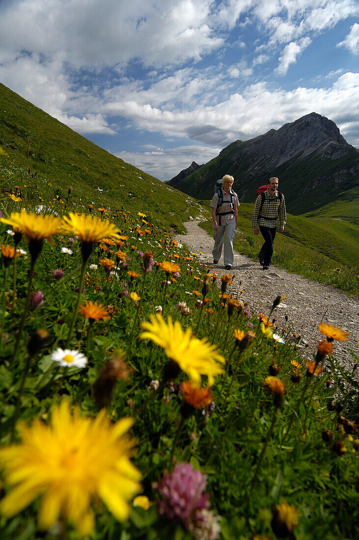 Paar beim Wandern, Bergwanderung, Tannheimer Bergen, Allgäuer Alpen, Tirol, Österreich, Europa