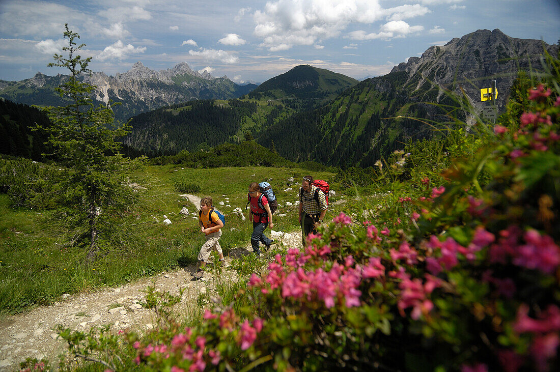 Familie beim Wandern, Bergwanderung, Tannheimer Bergen, Allgäuer Alpen, Tirol, Österreich, Europa