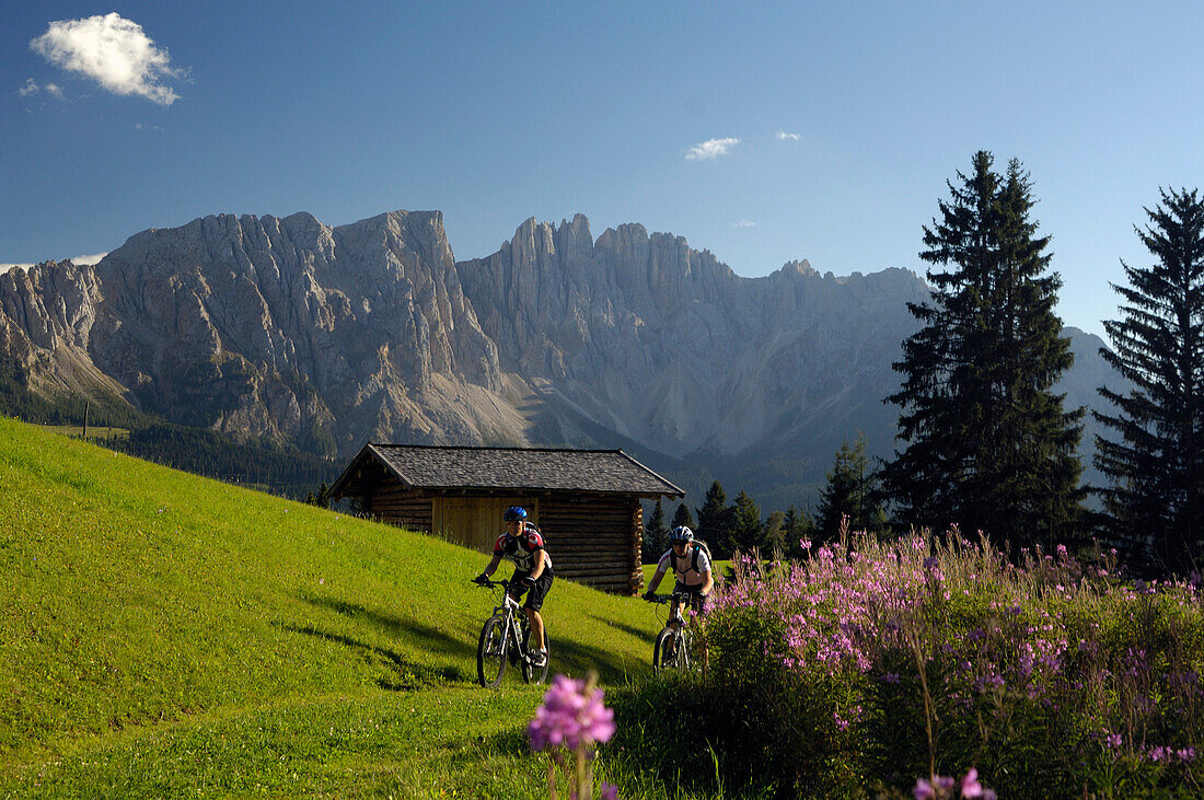 Zwei Männer auf Mountainbikes, MTB Mountainbike Tour in den Dolomiten, Rosengartengruppe, Dolomiten, Südtirol, Italien, Europa
