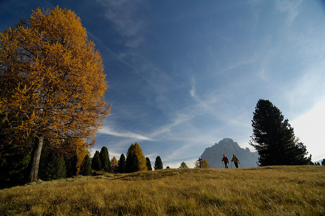Couple hiking near Wolkenstein mountain, Gardena Valley, Langkofel, South Tyrol, Italy, Europe