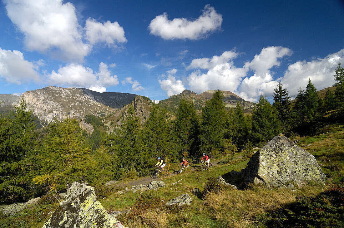 Mountainbiken in den Nockbergen, Nahe Bad Kleinkirchheim, Kärnten, Österreich, Europa