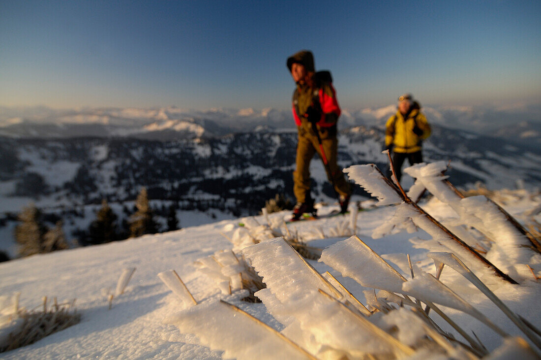 Women on a ski tour at Hochgrat, Allgäu Alps, Bavaria, Germany, Europe