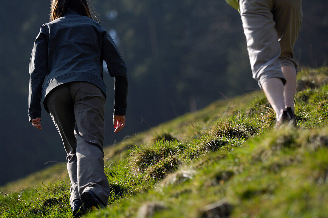 Women hiking near Oberstaufen, Allgaeu, Bayern, Germany, Europe