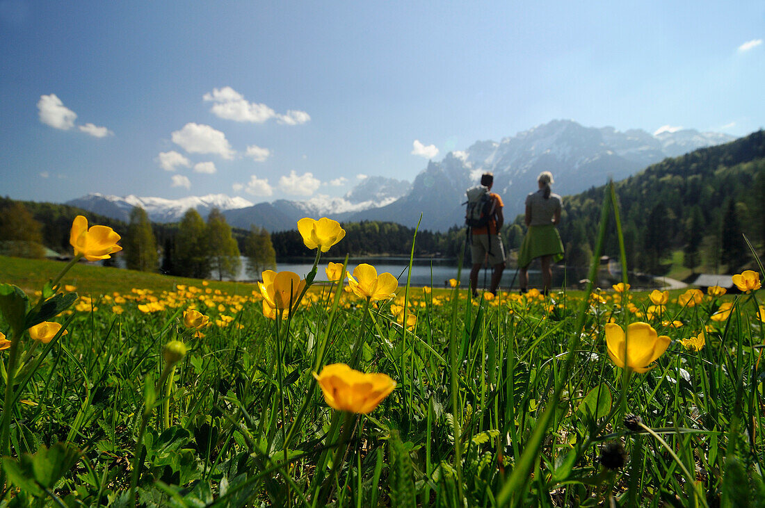 Couple hiking at Lautersee, Mittenwald, View towards Karwendel Mountain Range, Upper Bavaria, Bavaria, Germany, Europe