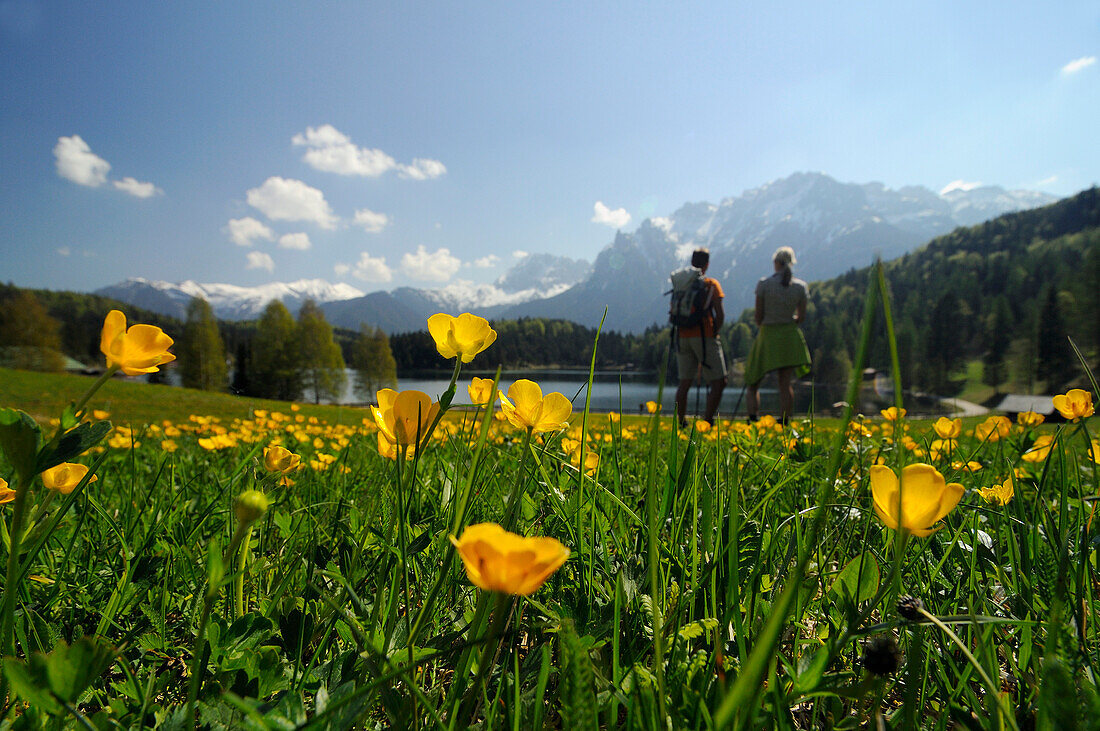 Paar beim Wandern am Lautersee, Blick auf Karwendelgebirge, Mittenwald, Werdenfelser Land, Oberbayern, Bayern, Deutschland, Europa