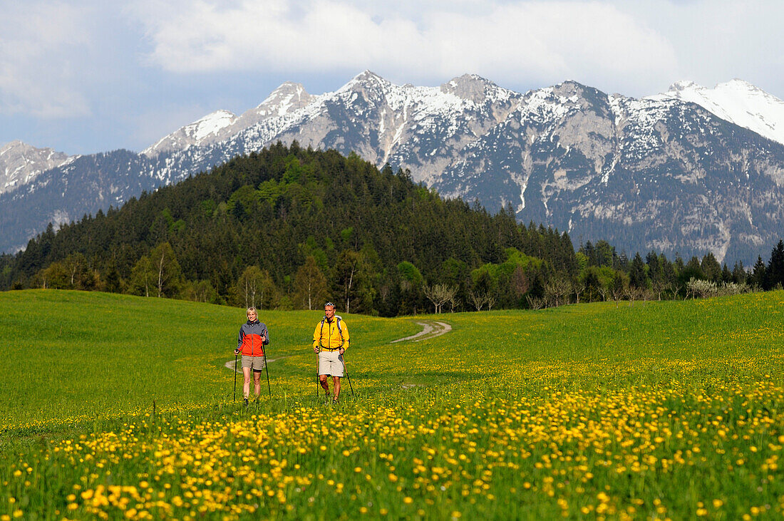 Paar beim Wandern in der Nähe von Geroldsee, Wanderer im Blumenwiese, Blick in die Landschaft, nahe Klais, Soierngruppe, Werdenfelser Land, Oberbayern, Bayern, Deutschland, Europa
