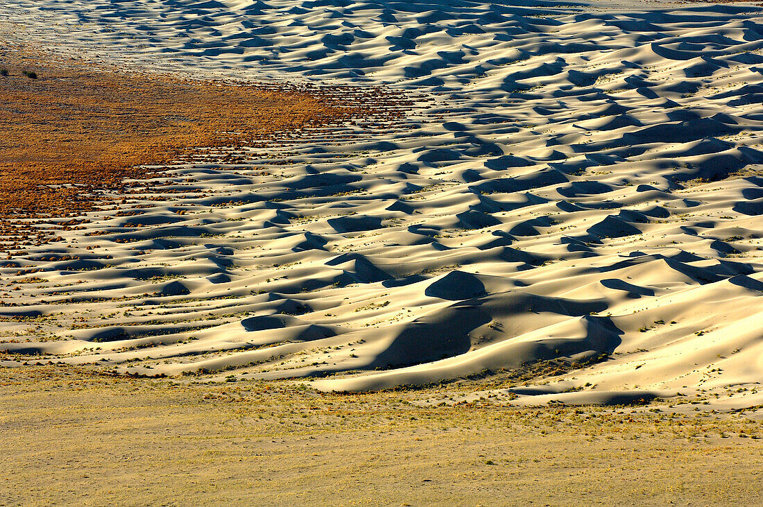 Sand dunes at Death Valley, California, North America, America