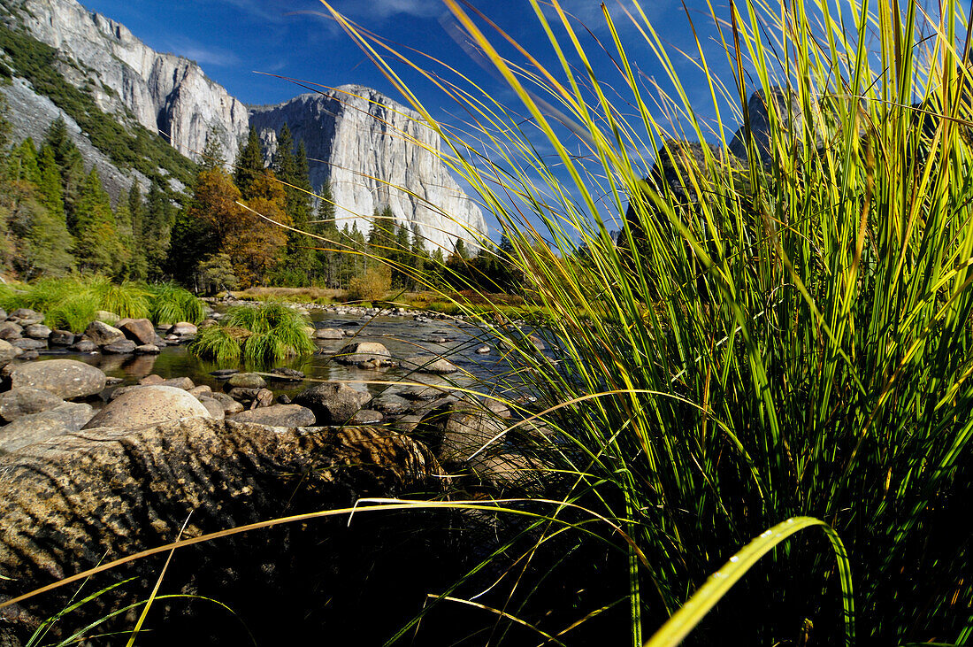 Idyllische Landschaft mit Bach im Sonnenlicht, Yosemite Nationalpark, Kalifornien, Nordamerika, Amerika