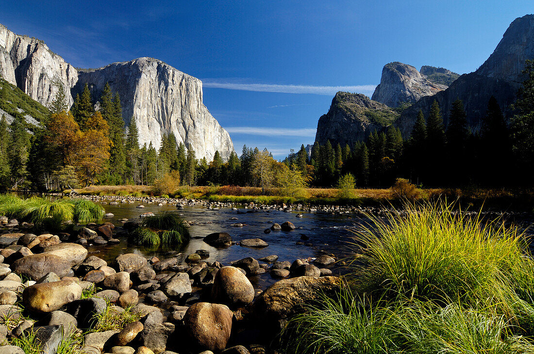 Idyllic landscape with stream in the sunlight, Yosemite National Park, California, North America, America