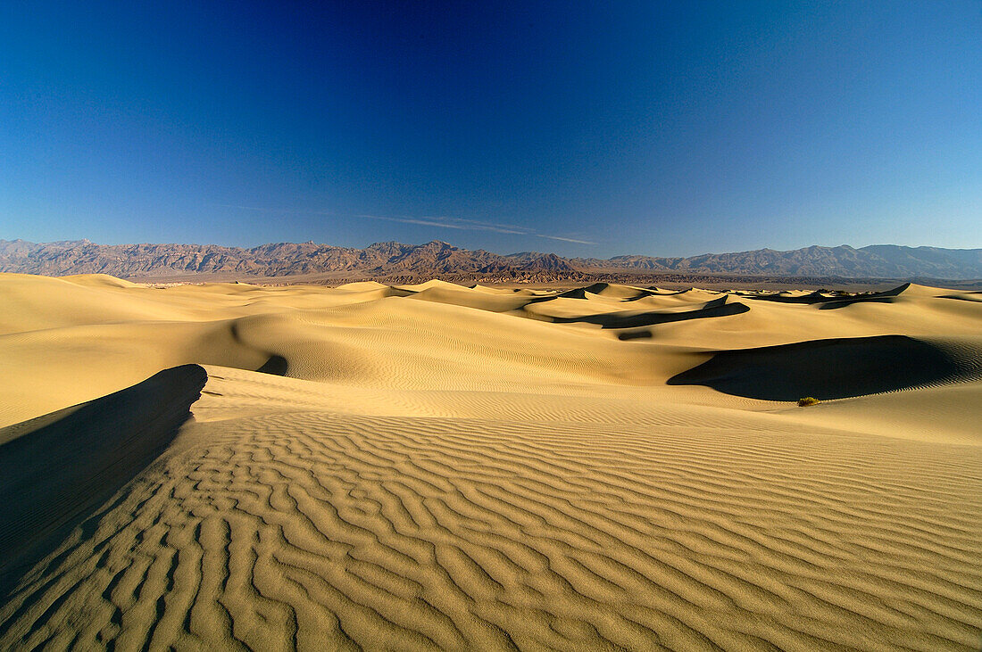 Sand dunes under blue sky, Death Valley, California, North America, America