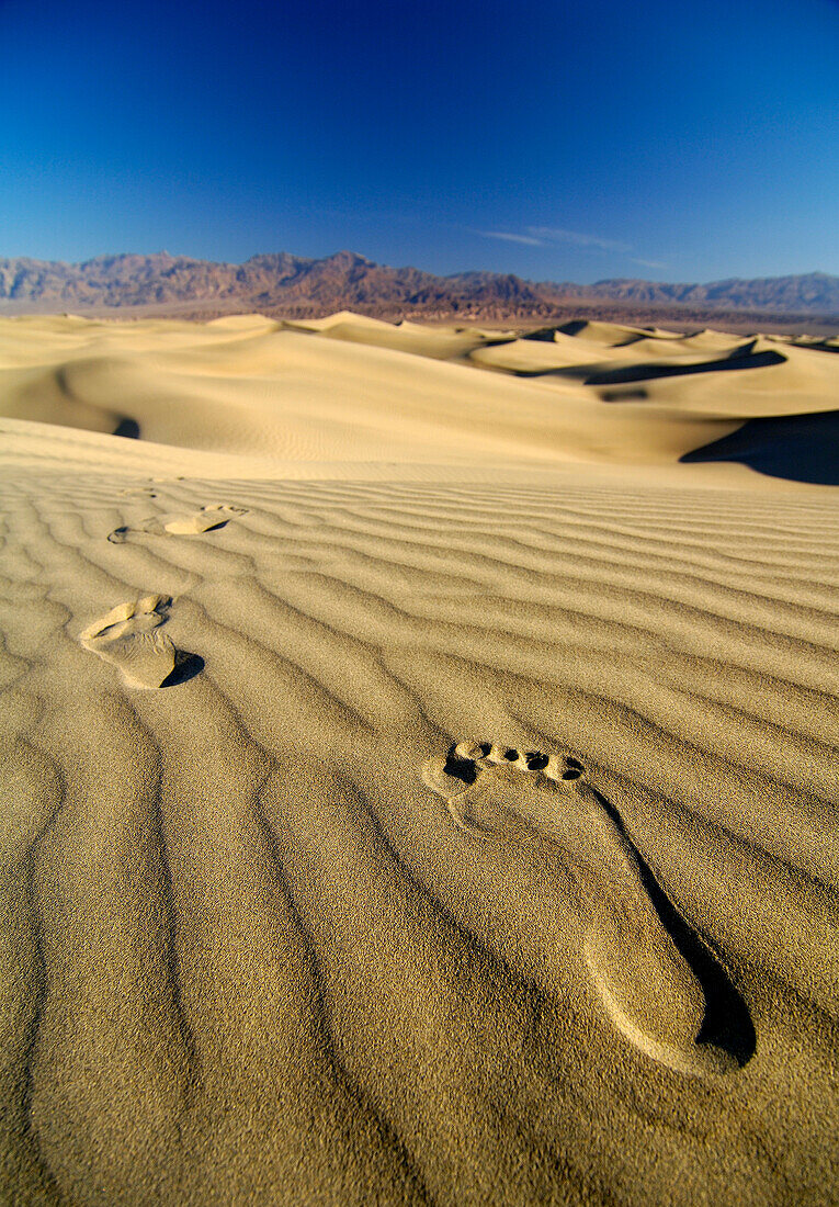 Footprints in the sand under blue sky, Death Valley, California, North America, America