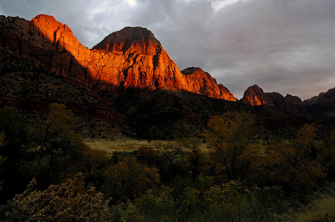 Rock face in the light of the evening sun, Zion National Park, Utah, North America, America