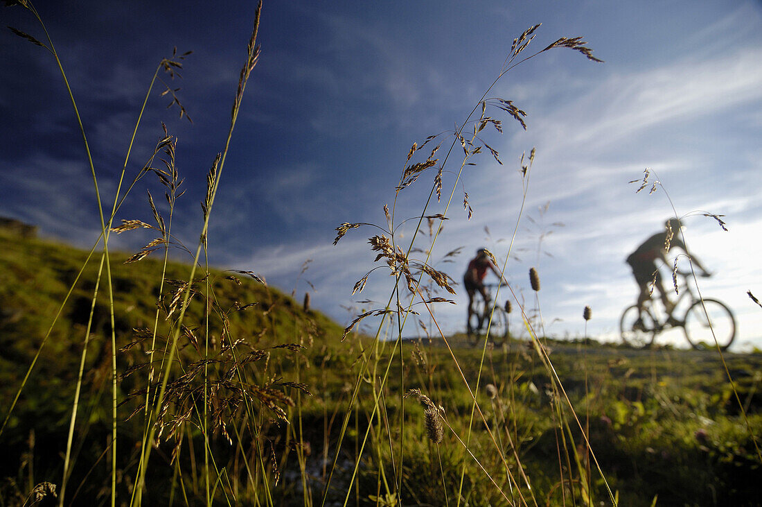 Mountainbiker im Gelände, Hall in Tirol, Tirol, Österreich