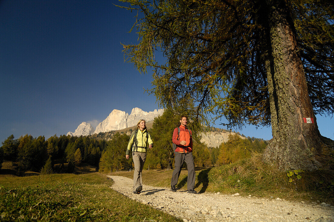 Junges Paar wandert unter blauem Himmel, Rosengarten, Dolomiten, Südtirol, Italien, Europa