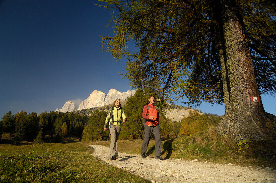 Young couple hiking under blue sky, Rosengarten, Dolomites, South Tyrol, Italy, Europe