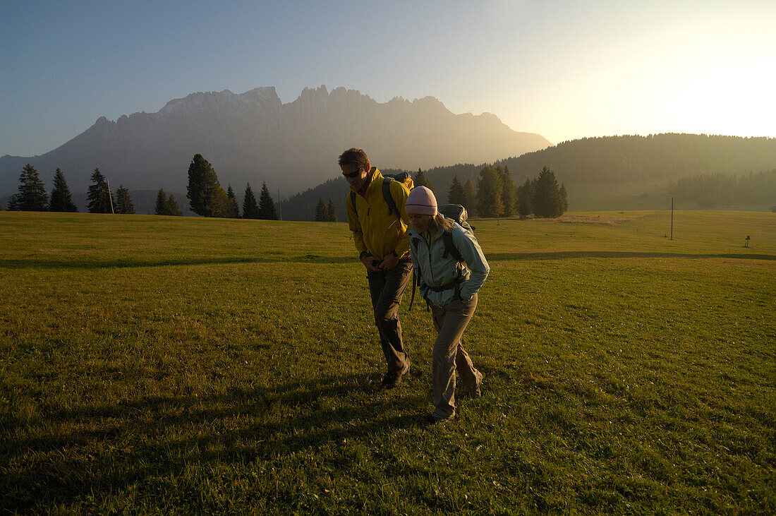 Hikers on an alpine meadow in the light of the evening sun, Rosengarten, Dolomites, South Tyrol, Italy, Europe