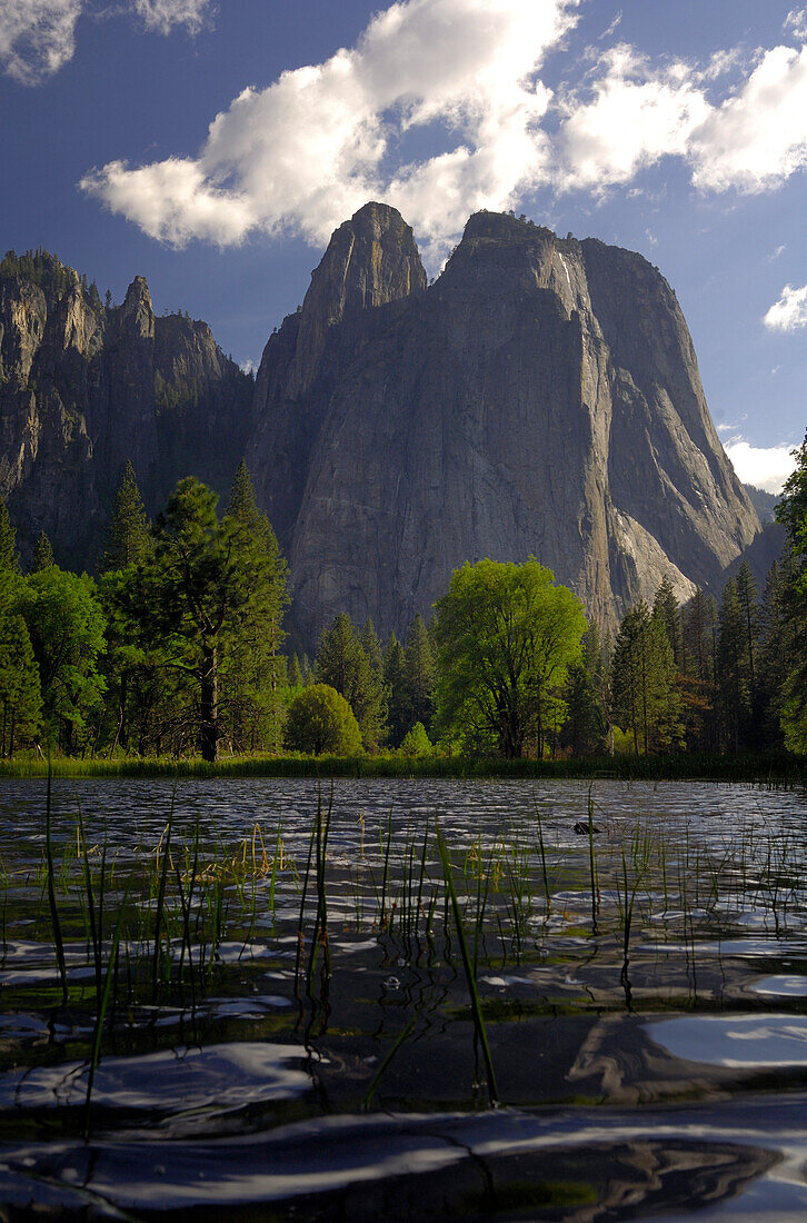 Bäume und Cathedral Rock unter Wolkenhimmel, Yosemite Nationalpark, Kalifornien, Nordamerika, Amerika