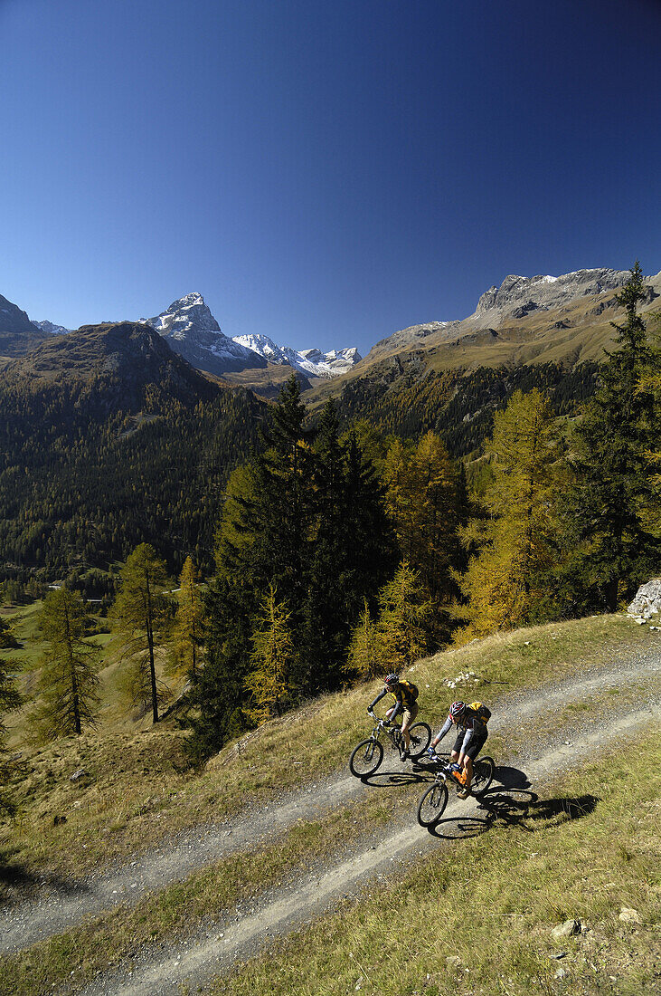 Couple mountain biking near Savognin, Oberhalbstein Range, Canton of Grisons, Switzerland