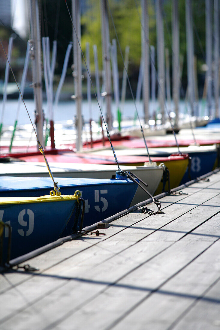 Boats moored in the harbour, Alte Donau, Vienna, Austria