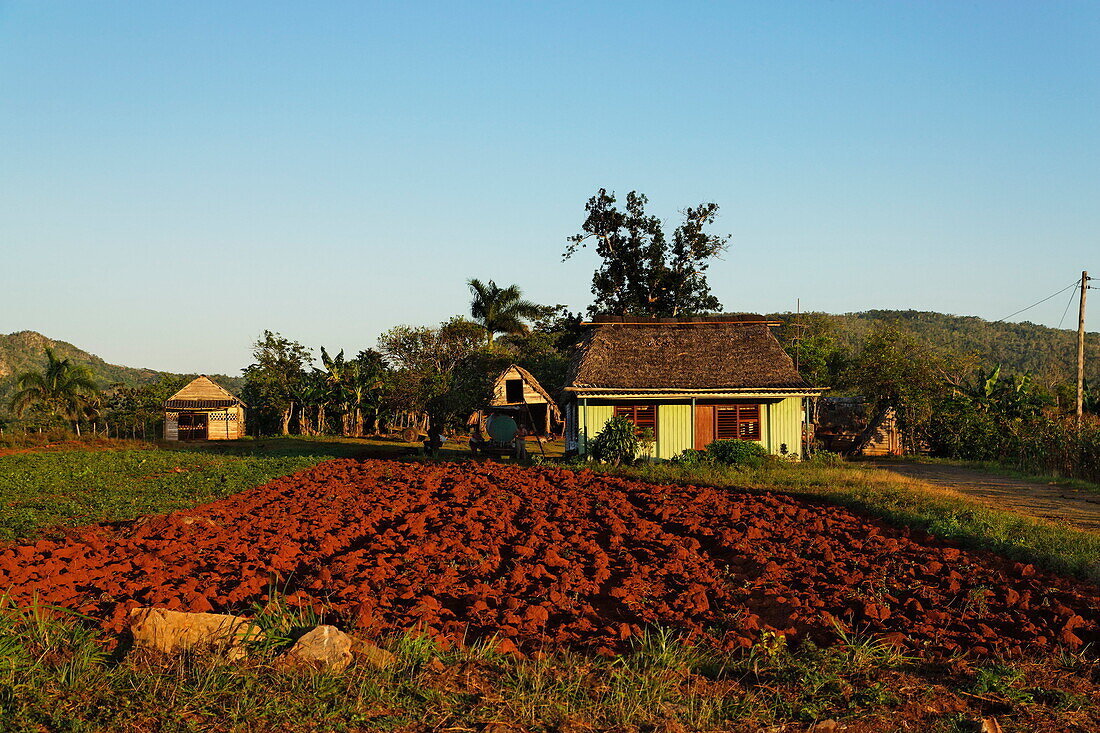 Farm, Minas de Matahambre, Pinar Del Rio, Cuba, West Indies