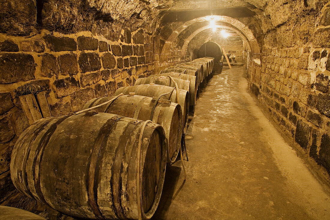 Miranda winery cellar,  Briones. La Rioja,  Spain