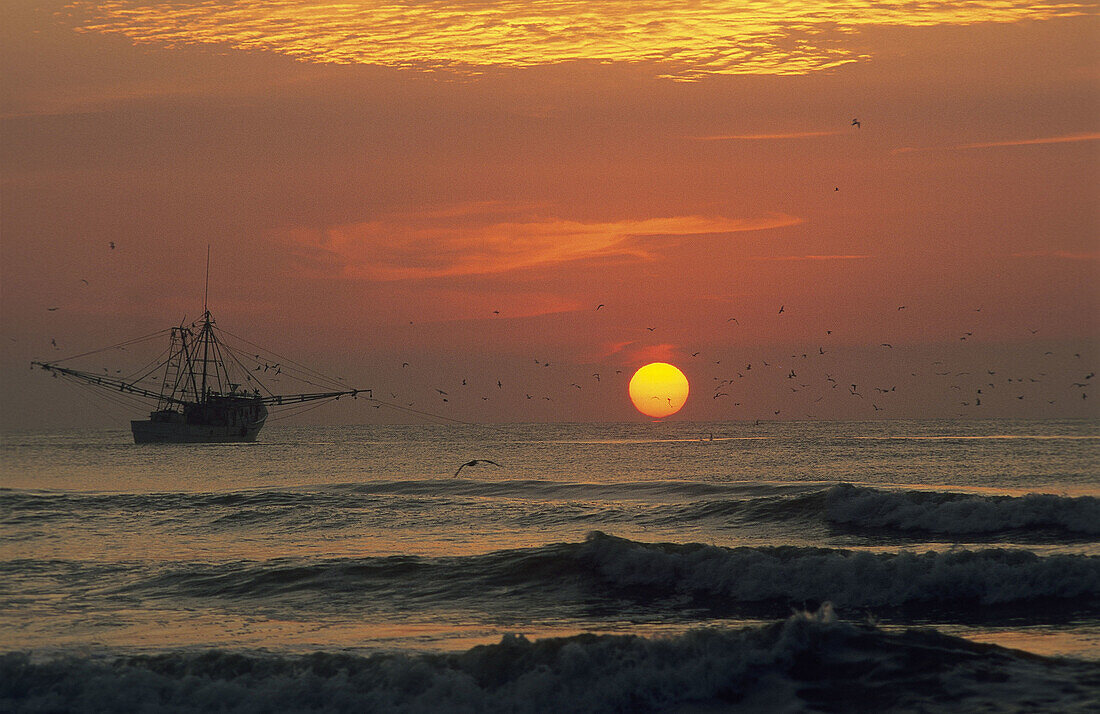 Carolina, Color, Colour, Fishing, Shrimpboats, Shrimping, South, South Carolina, Travel, Waterways, A06-826109, agefotostock 