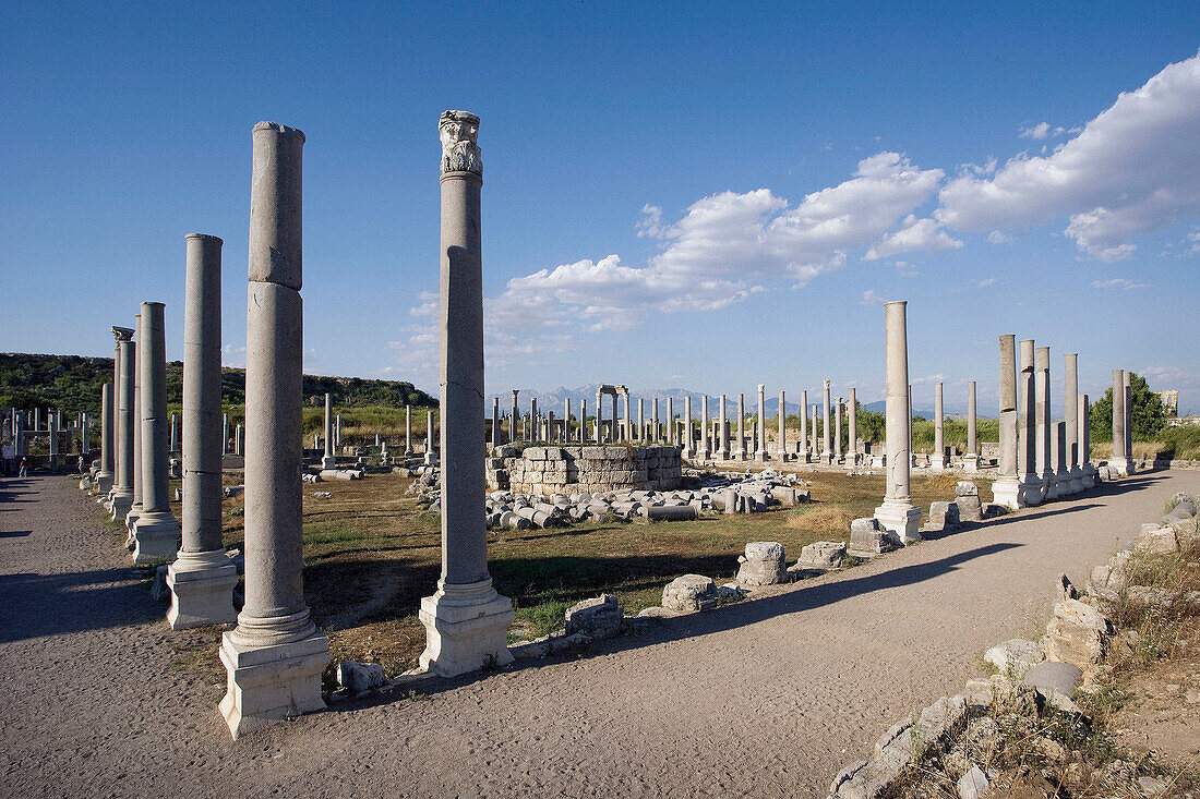 Agora,  ruins of Perga. Turkey