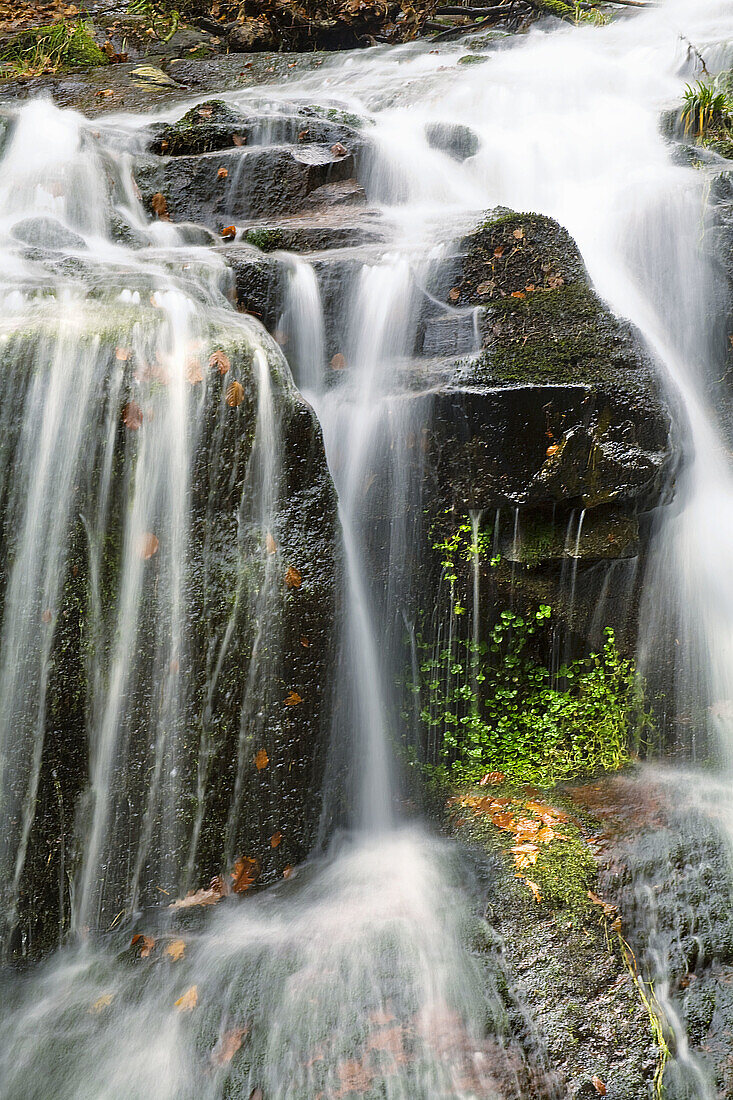 Detail of waterfall, Val la Harina pool, Cabuerniga Valley, Cantabria, Spain, Europe
