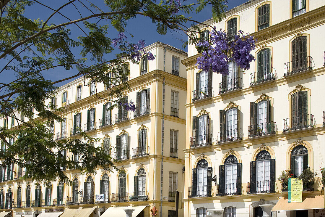 Plaza de la Merced, Malaga. Andalucia, Spain