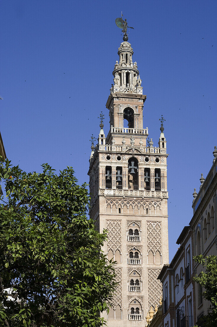Cathedral and Giralda tower, Sevilla. Andalucia, Spain