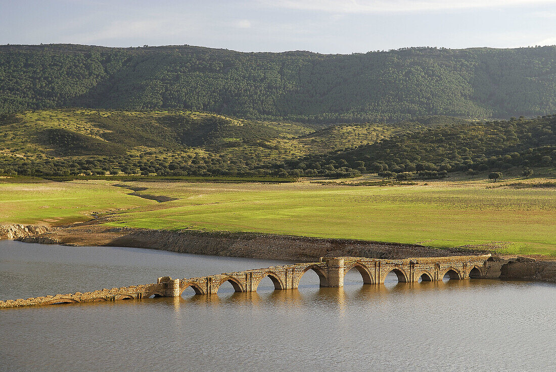 Medieval bridge of the Mesta (medieval association of sheep holders), Villarta de los Montes. Badajoz province, Extremadura, Spain