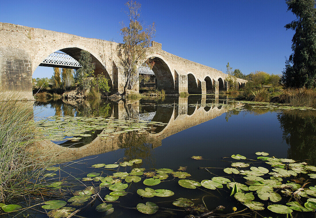 Puente sobre el río Gévora. S. XVI. Badajoz. Extremadura.España