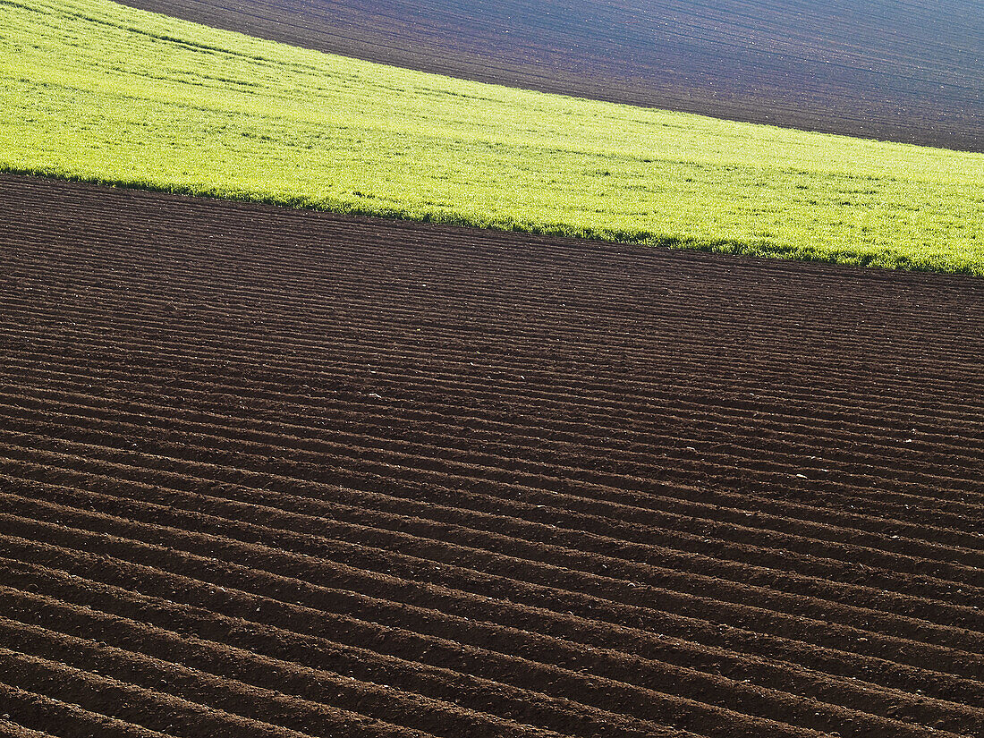 Fields in spring, Berceo. La Rioja, Spain