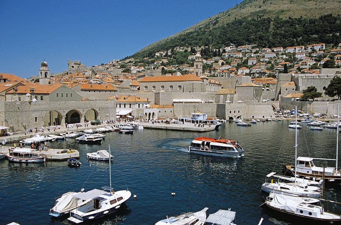 Old city port, general view, Dubrovnik, Dalmatian Coast, Croatia, Former Yugoslavia