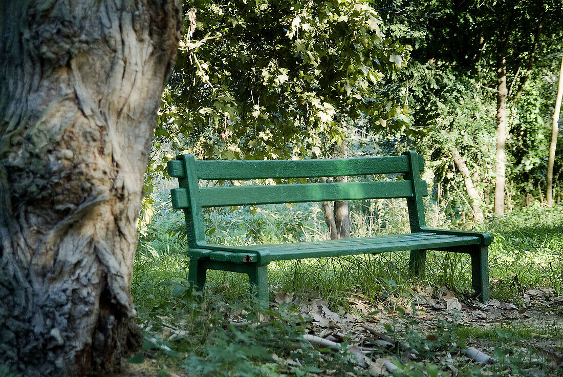 Bench. Girona, Catalonia, Spain