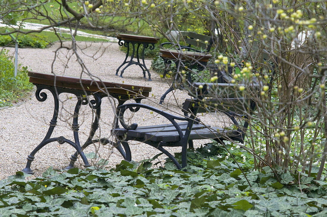 Bench, Board, Botanic, Color, Colour, Foot-path, Garden, Gravel, Horizontal, Park, Spring, Table, Walk, XM8-765498, agefotostock