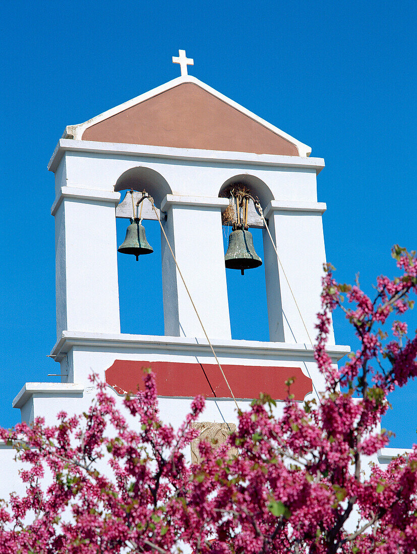 Church bell tower and spring blossom, General, Crete, Greek Islands
