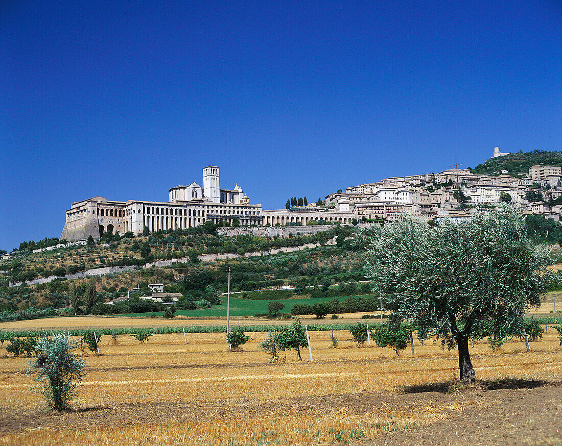 Basilica St. Francis, Assisi, Umbria, Italy