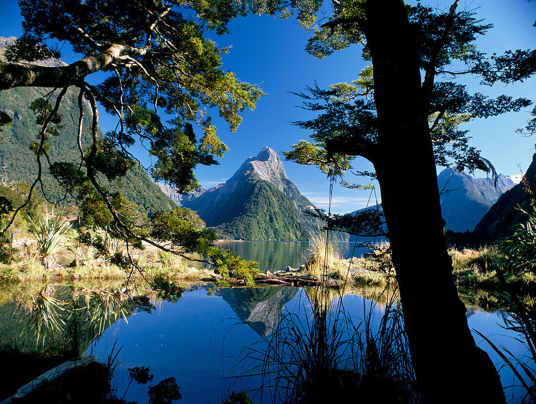 View of Lake & Mitre Peak, Milford Sound, South Island, New Zealand